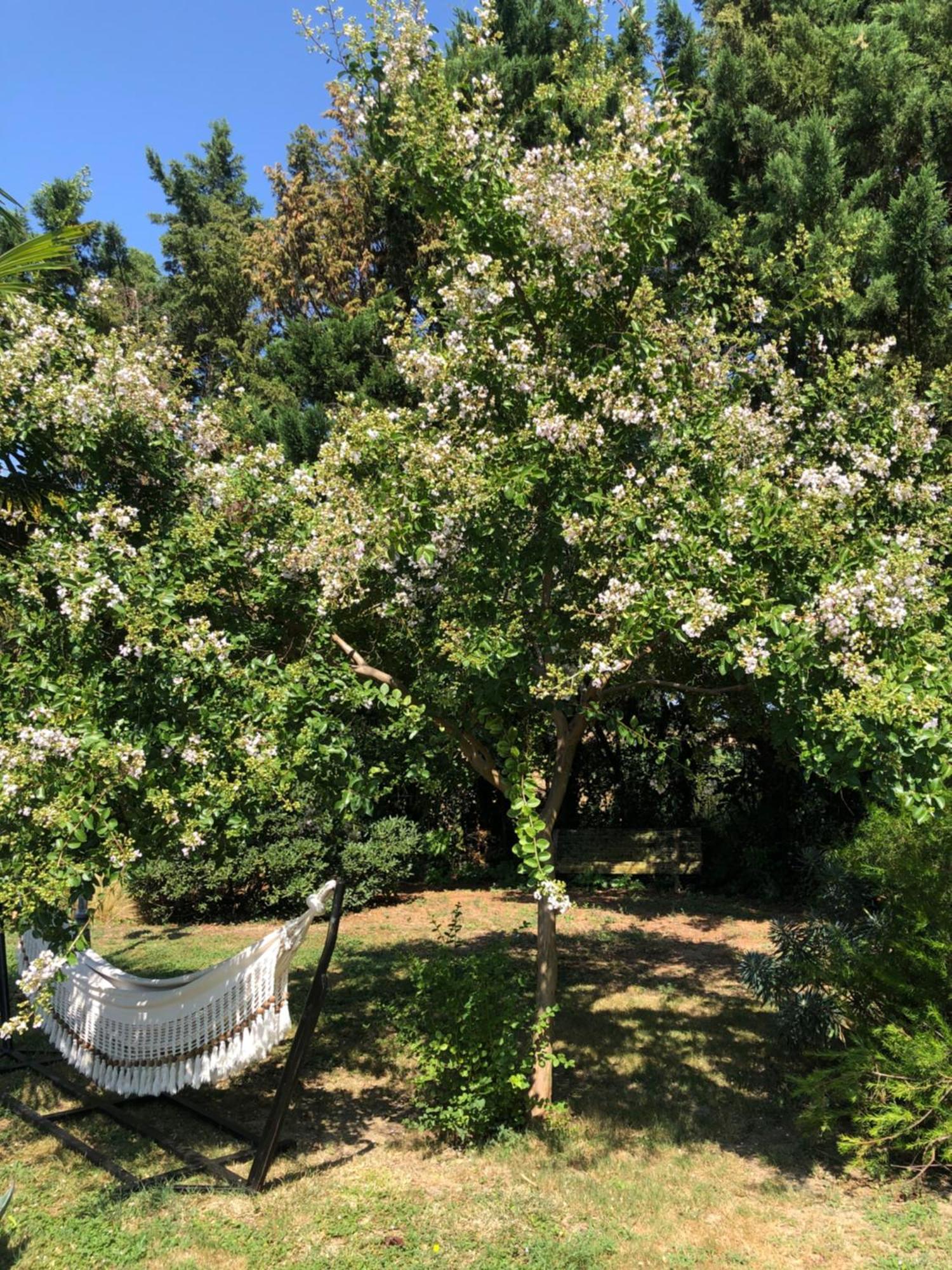 Bed and Breakfast La Bastide De Negra Montesquieu-Lauragais Екстер'єр фото