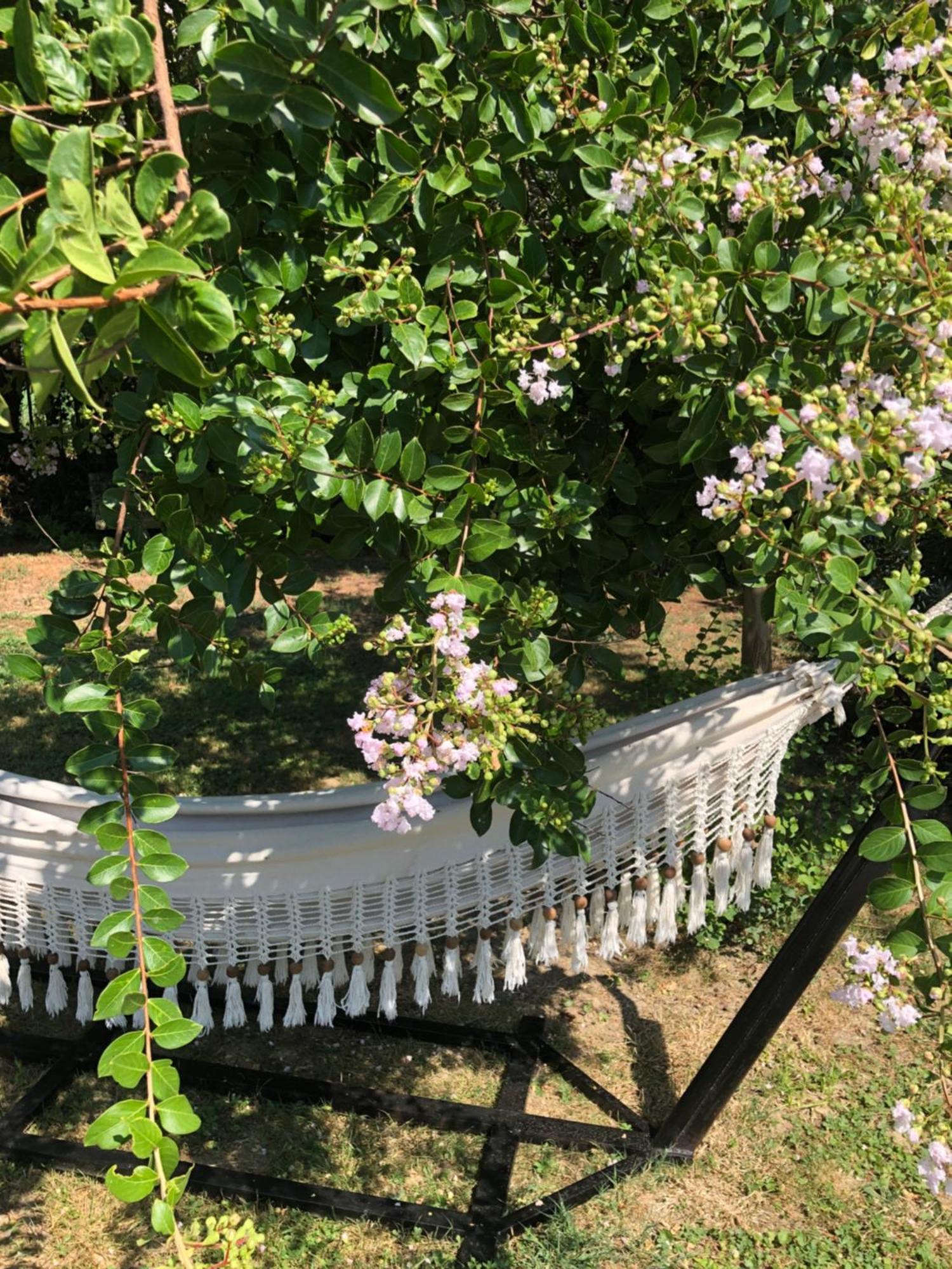 Bed and Breakfast La Bastide De Negra Montesquieu-Lauragais Екстер'єр фото